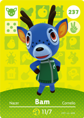 Bam amiibo Card