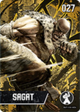 Sagat amiibo Card