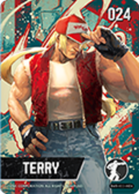 Terry amiibo Card